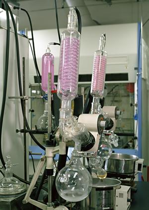 九州の時給と寮費の待遇が選べるお仕事